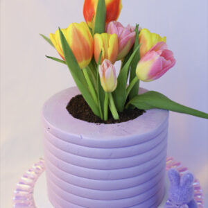 Tulip Cake
